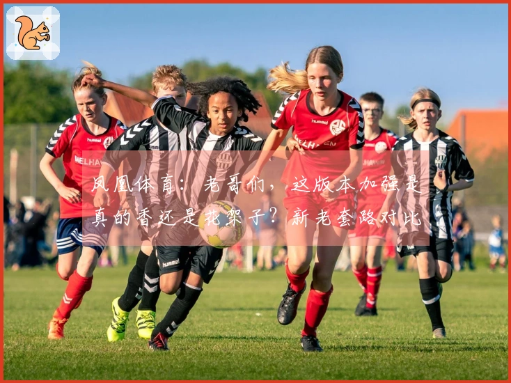 凤凰体育：老哥们，这版本加强是真的香还是花架子？新老套路对比，赶紧来看看！