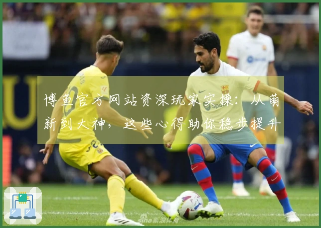 博鱼官方网站资深玩家实操：从萌新到大神，这些心得助你稳步提升竞技体验