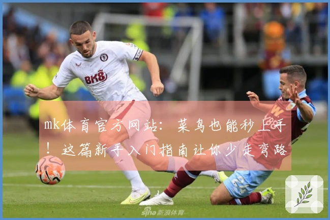 mk体育官方网站：菜鸟也能秒上手！这篇新手入门指南让你少走弯路，速成高手